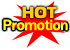 icon-promotion