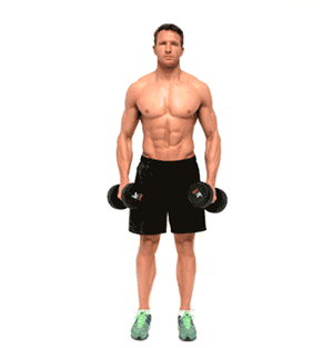 bai-tap-vai-Side-Lateral-Raise